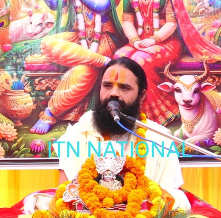 IMG_20241107_191338_464