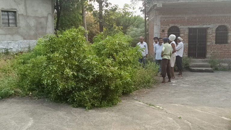 IMG_20241108_141653_693