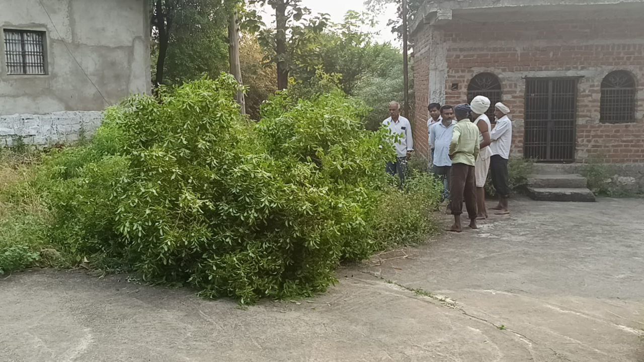 IMG_20241108_141653_693