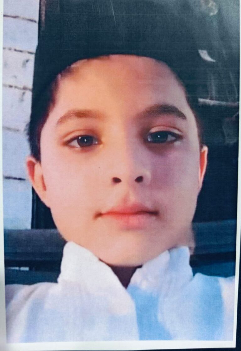 IMG_20241108_142245_911