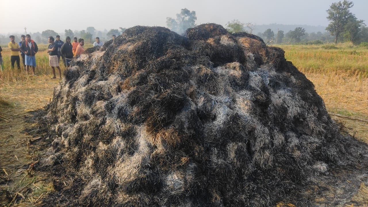 IMG_20241108_183837_903