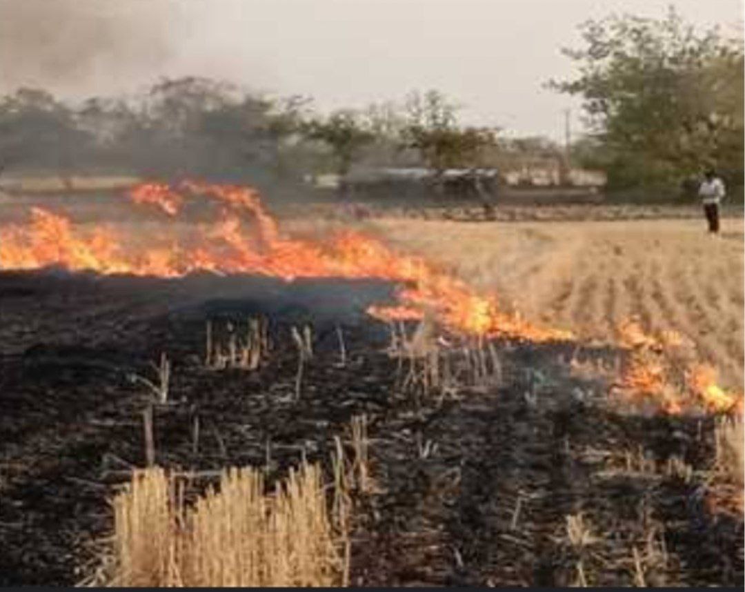 IMG_20241109_082929_482