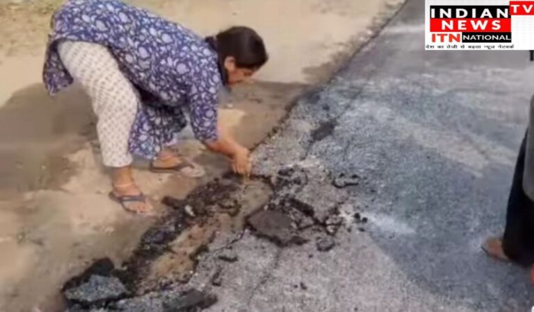 IMG_20241109_124031_804