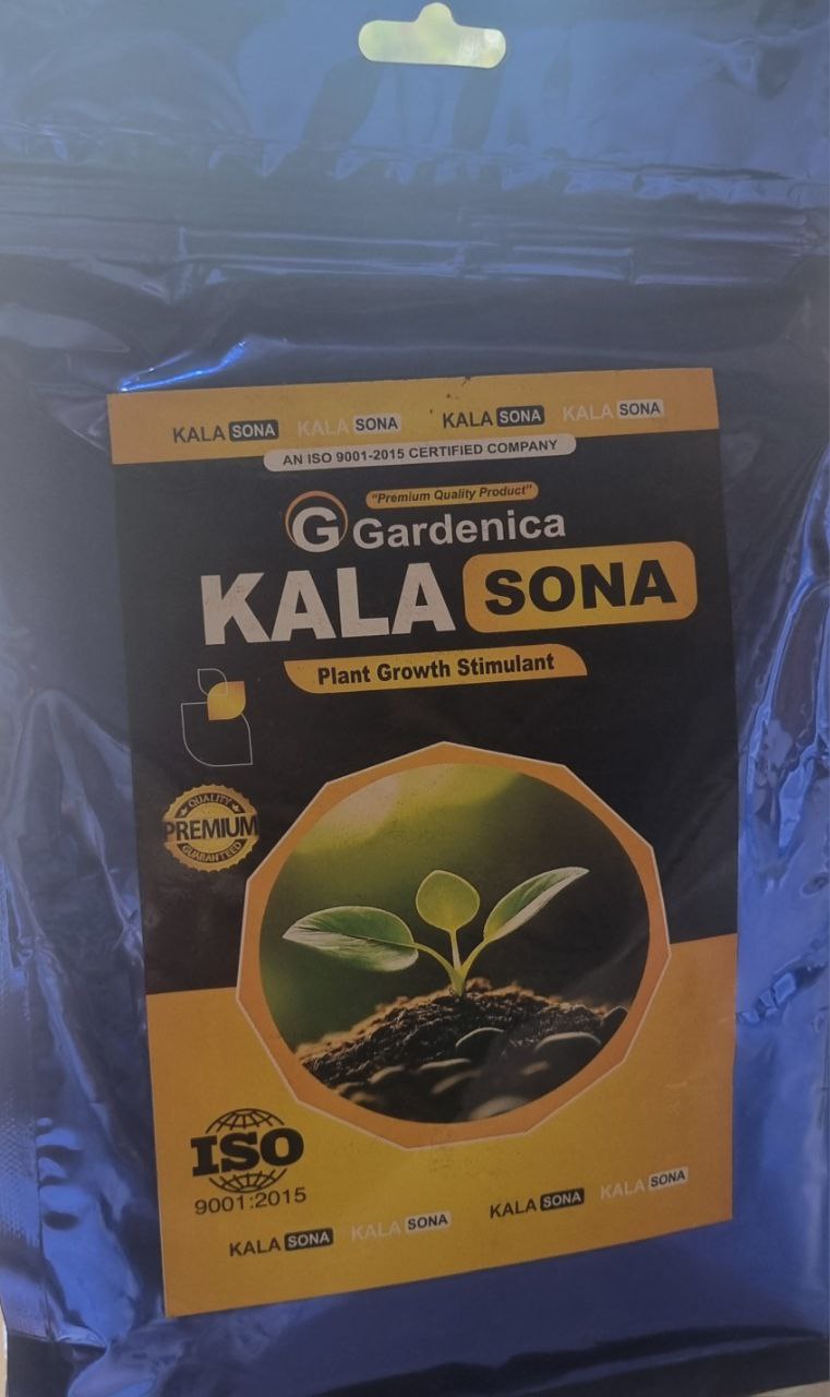 IMG_20241109_124441_093