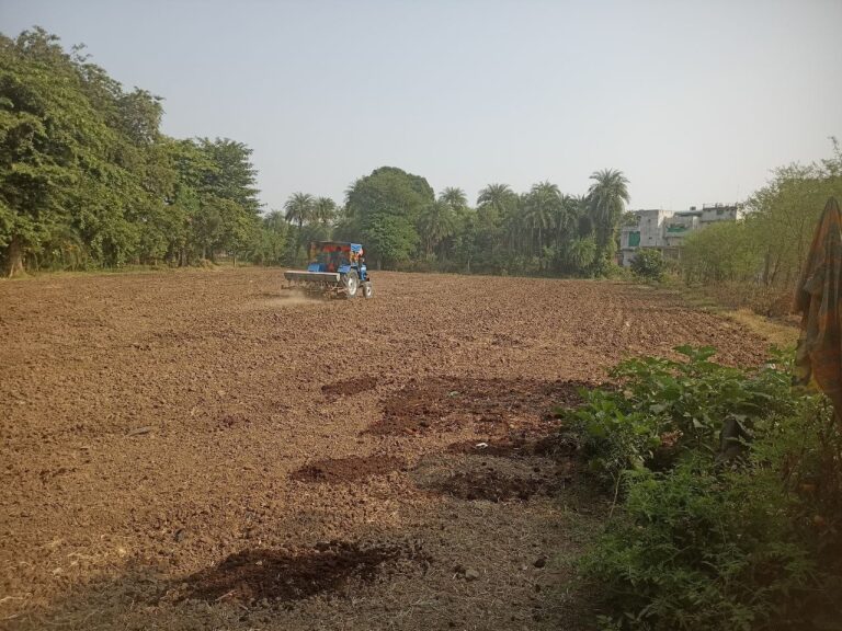 IMG_20241109_175444_671