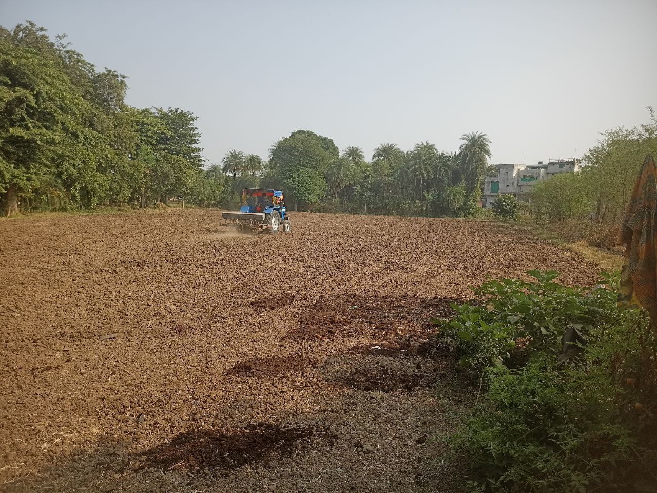 IMG_20241109_175444_671