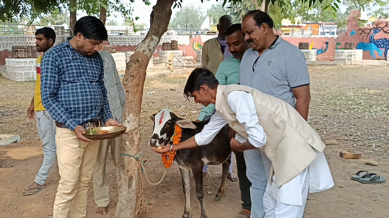 IMG_20241109_175845_954