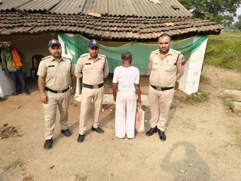 IMG_20241110_075019_976