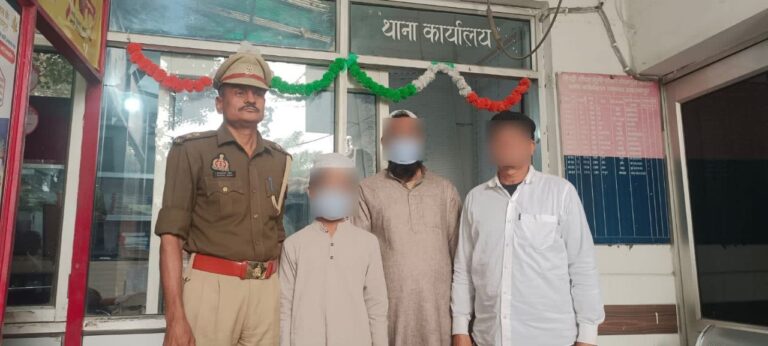 IMG_20241110_131409_016