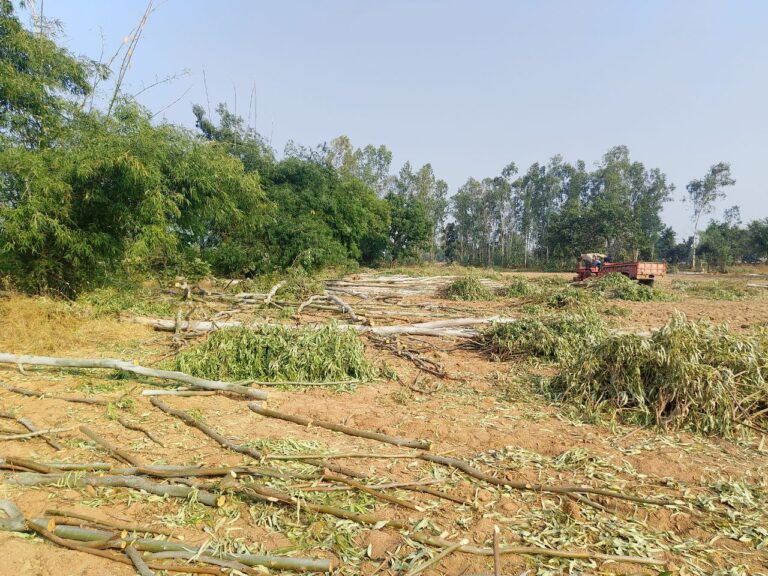 IMG_20241110_131858_899