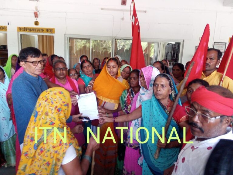 IMG_20241111_073423_535