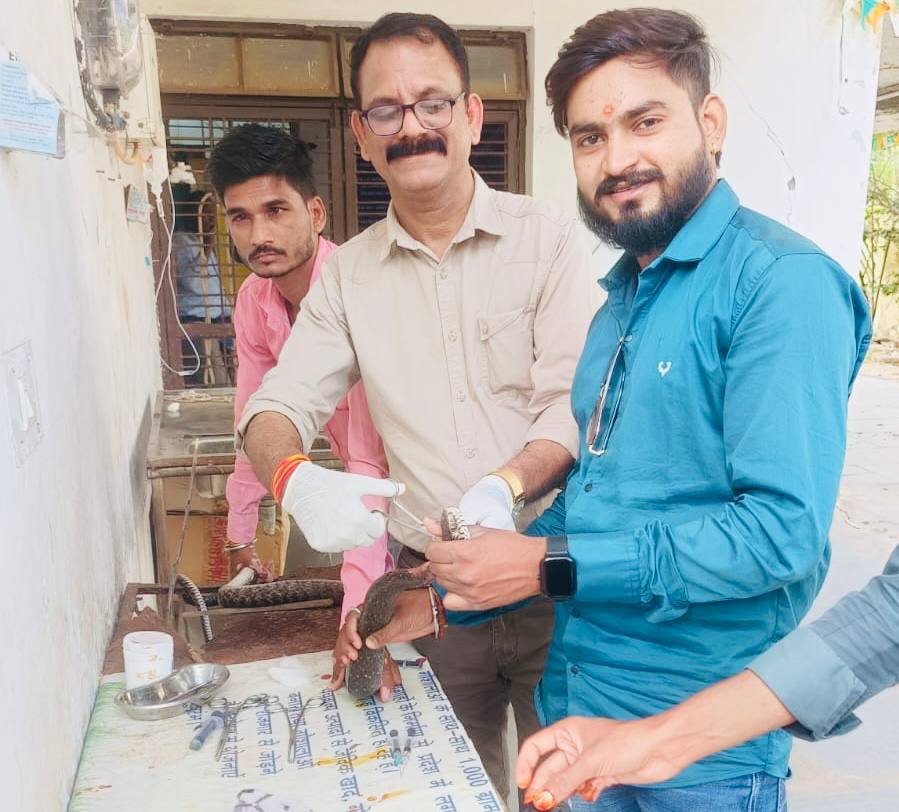 IMG_20241112_154351_002