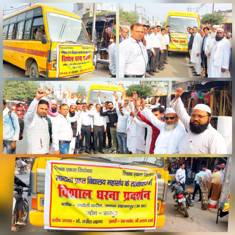 IMG_20241113_133246_511