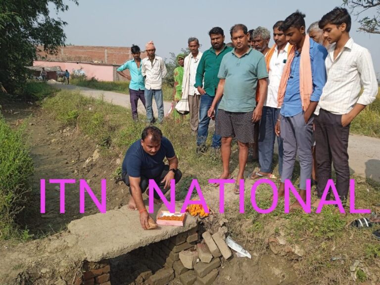 IMG_20241113_164953_693