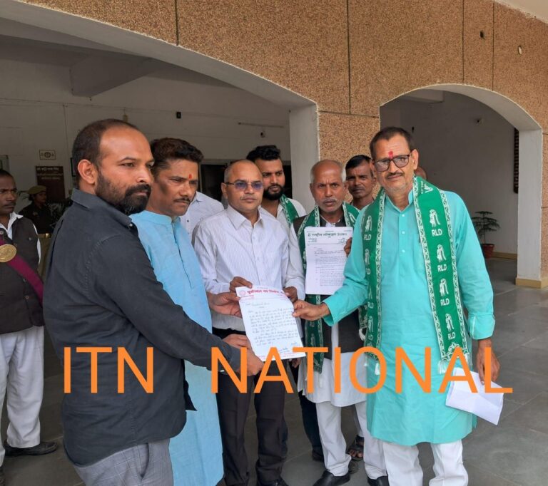 IMG_20241113_164957_455