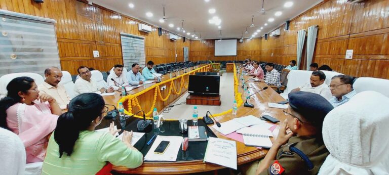 IMG_20241113_174228_398