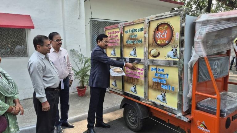 IMG_20241113_175016_786