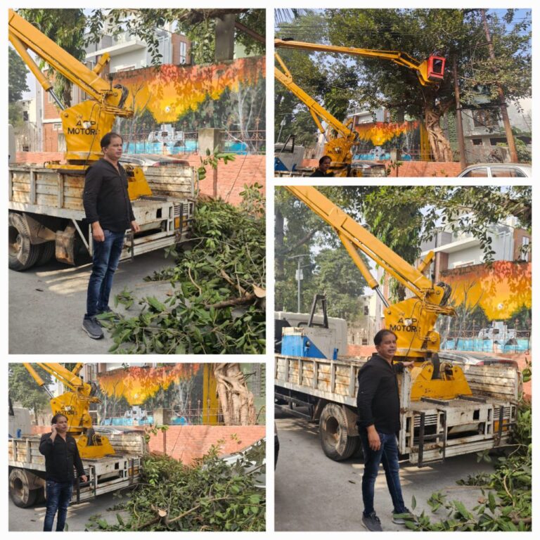 IMG_20241114_163751_326