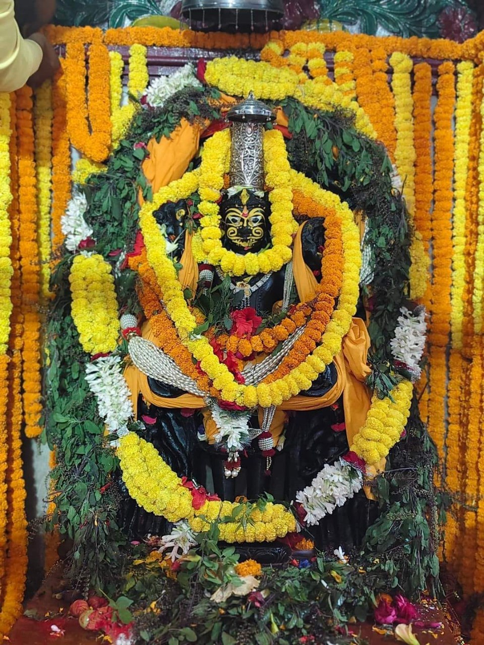 IMG_20241114_190528_299