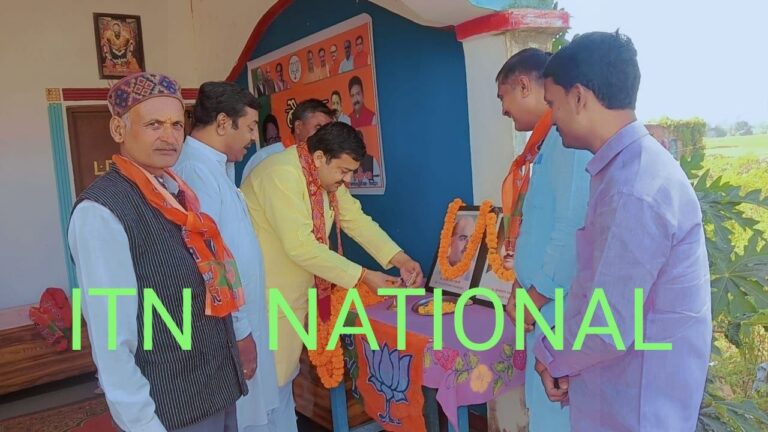 IMG_20241114_201747_393