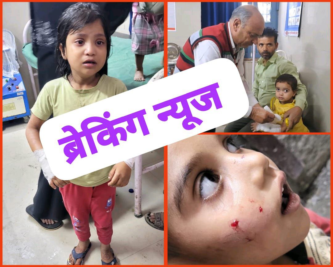 IMG_20241115_112809_583