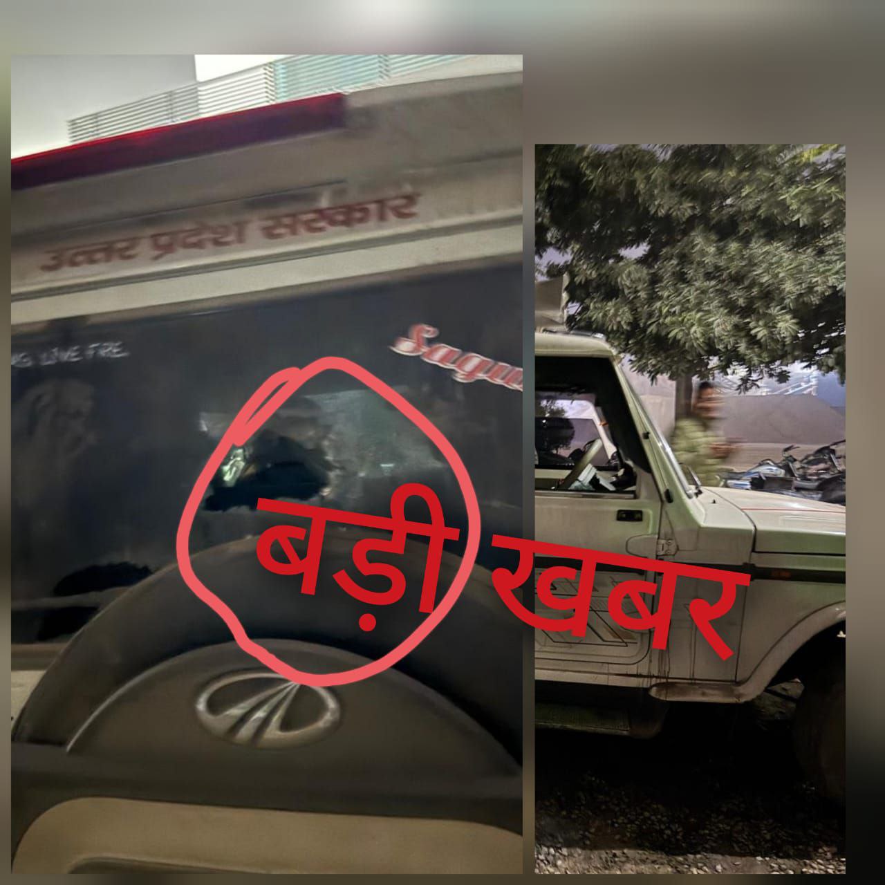 IMG_20241116_183745_431