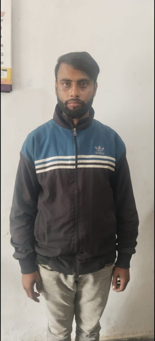 IMG_20241117_142903_800