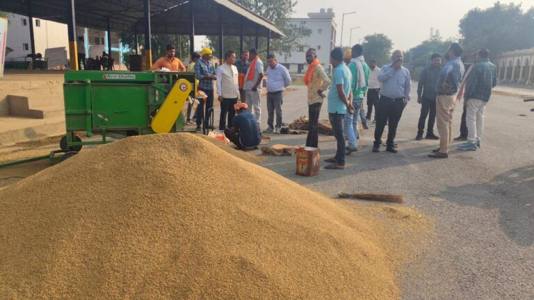 IMG_20241117_180929_035