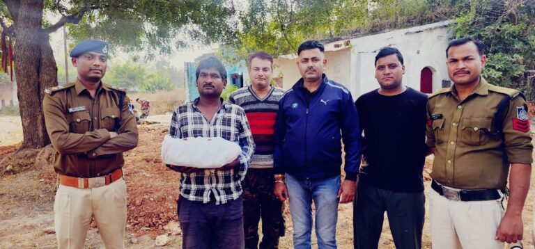 IMG_20241117_181150_954