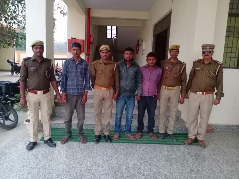 IMG_20241118_215644_640