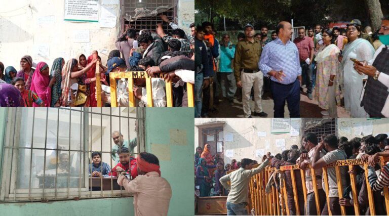 IMG_20241119_224814_276