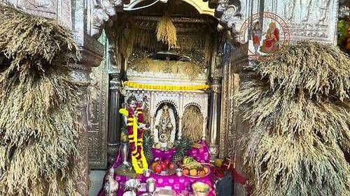 IMG_20241119_225043_796