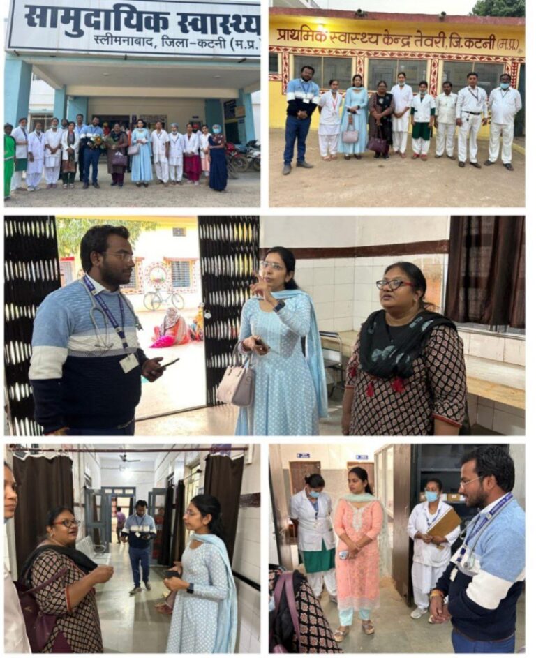 IMG_20241120_130338_615