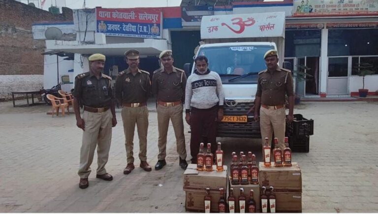 IMG_20241120_173227_442