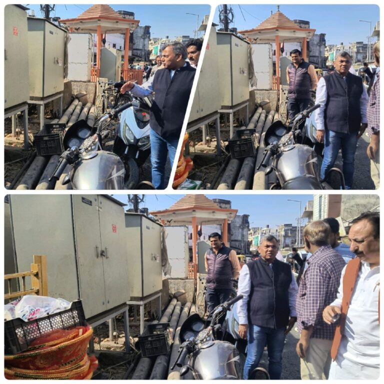 IMG_20241120_191525_047