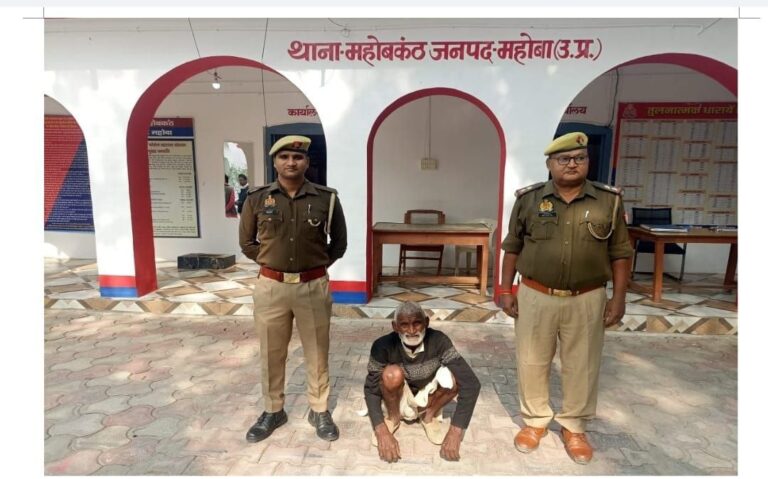 IMG_20241120_210932_598