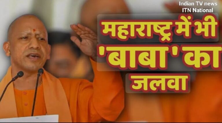 IMG_20241121_133431_114