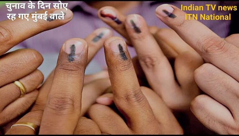 IMG_20241121_133434_464