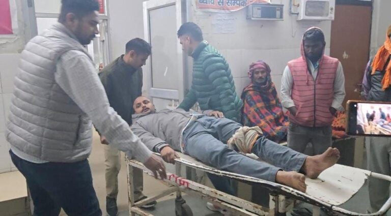 IMG_20241122_144324_409