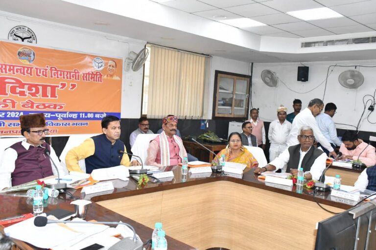 IMG_20241122_174800_881