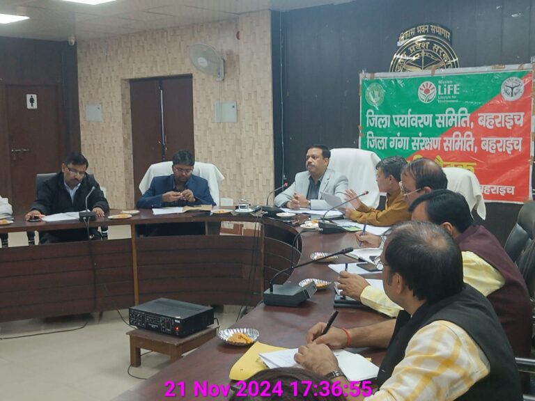 IMG_20241122_175413_716