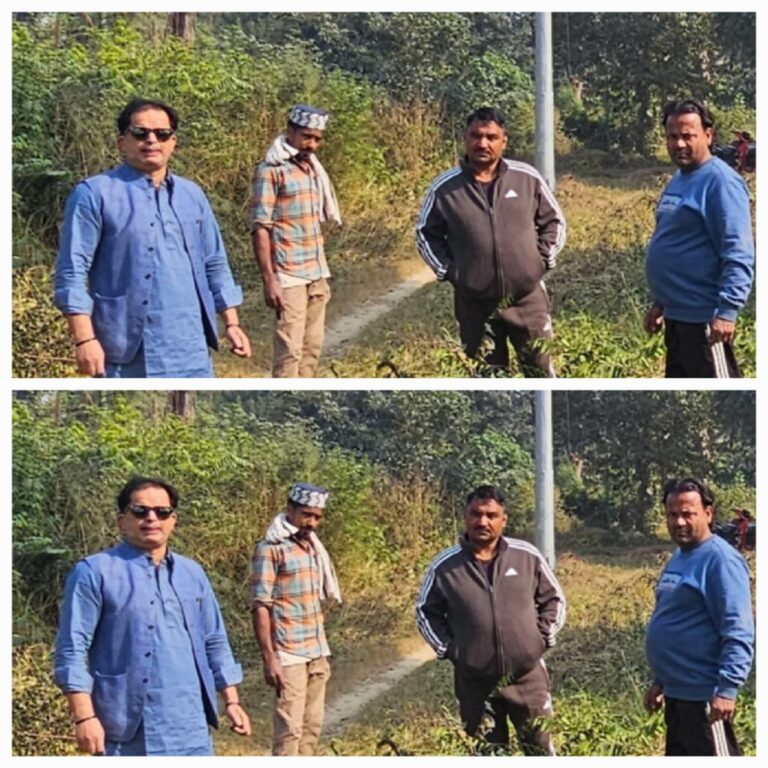 IMG_20241122_175622_286