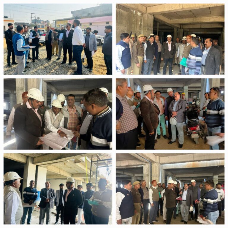 IMG_20241122_194511_283