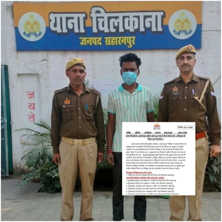 IMG_20241122_220753_967