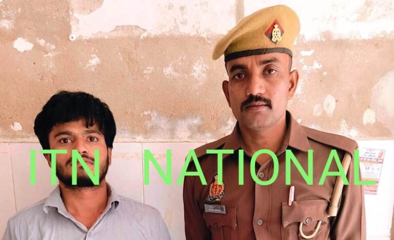 IMG_20241122_221212_296