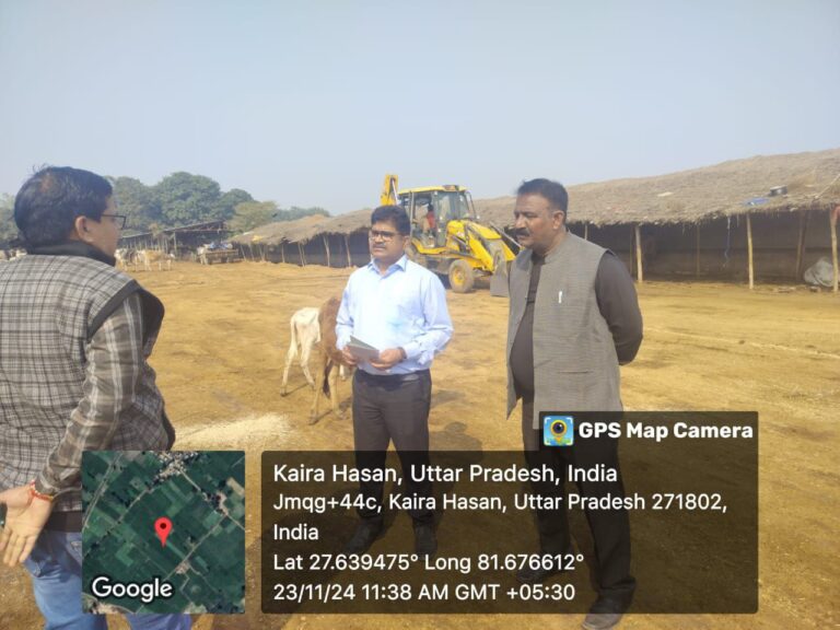 IMG_20241123_172901_386