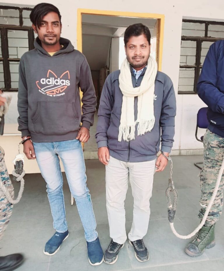 IMG_20241123_213213_341