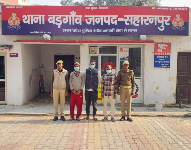 IMG_20241124_145043_957