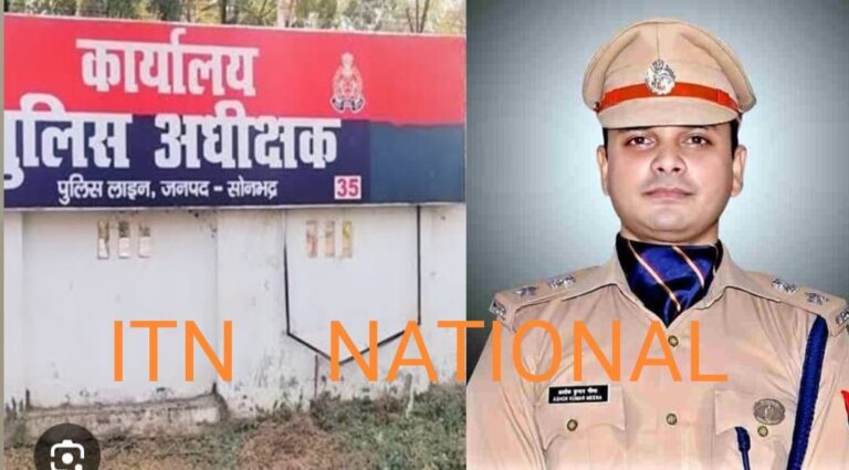 IMG_20241124_163516_929