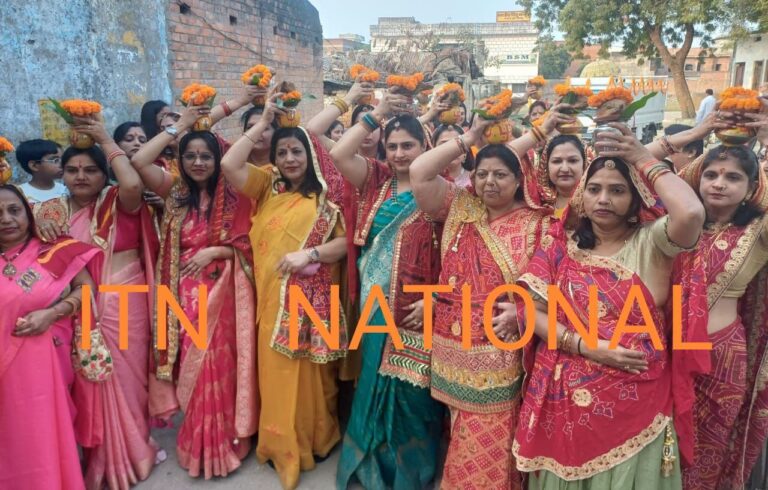 IMG_20241124_182205_548